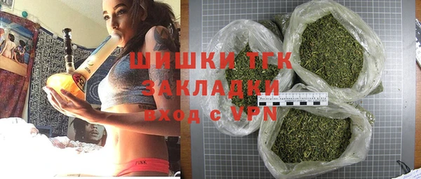 СК Горняк