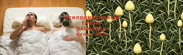 ГАЛЛЮЦИНОГЕННЫЕ ГРИБЫ Арсеньев