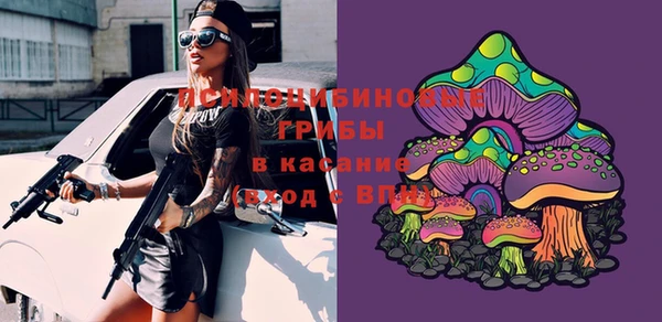 ГАЛЛЮЦИНОГЕННЫЕ ГРИБЫ Арсеньев