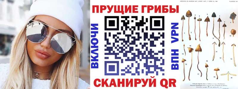 ссылка на мегу маркетплейс  Добрянка  Галлюциногенные грибы ЛСД 